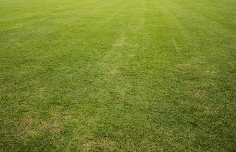 Grass Resodding detail